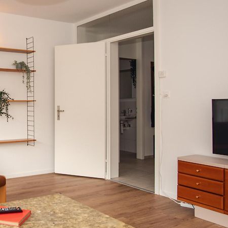 Spacious Apartment Next To Rhine Basel Dış mekan fotoğraf