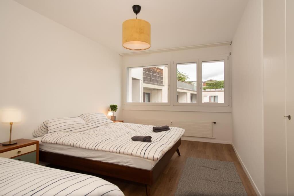 Spacious Apartment Next To Rhine Basel Dış mekan fotoğraf