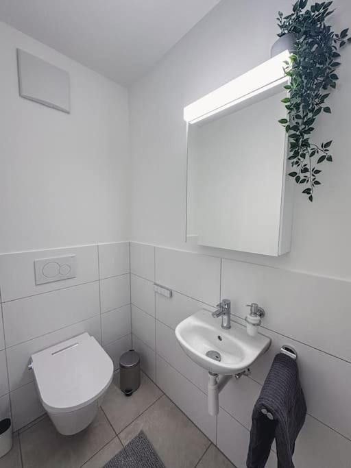 Spacious Apartment Next To Rhine Basel Dış mekan fotoğraf