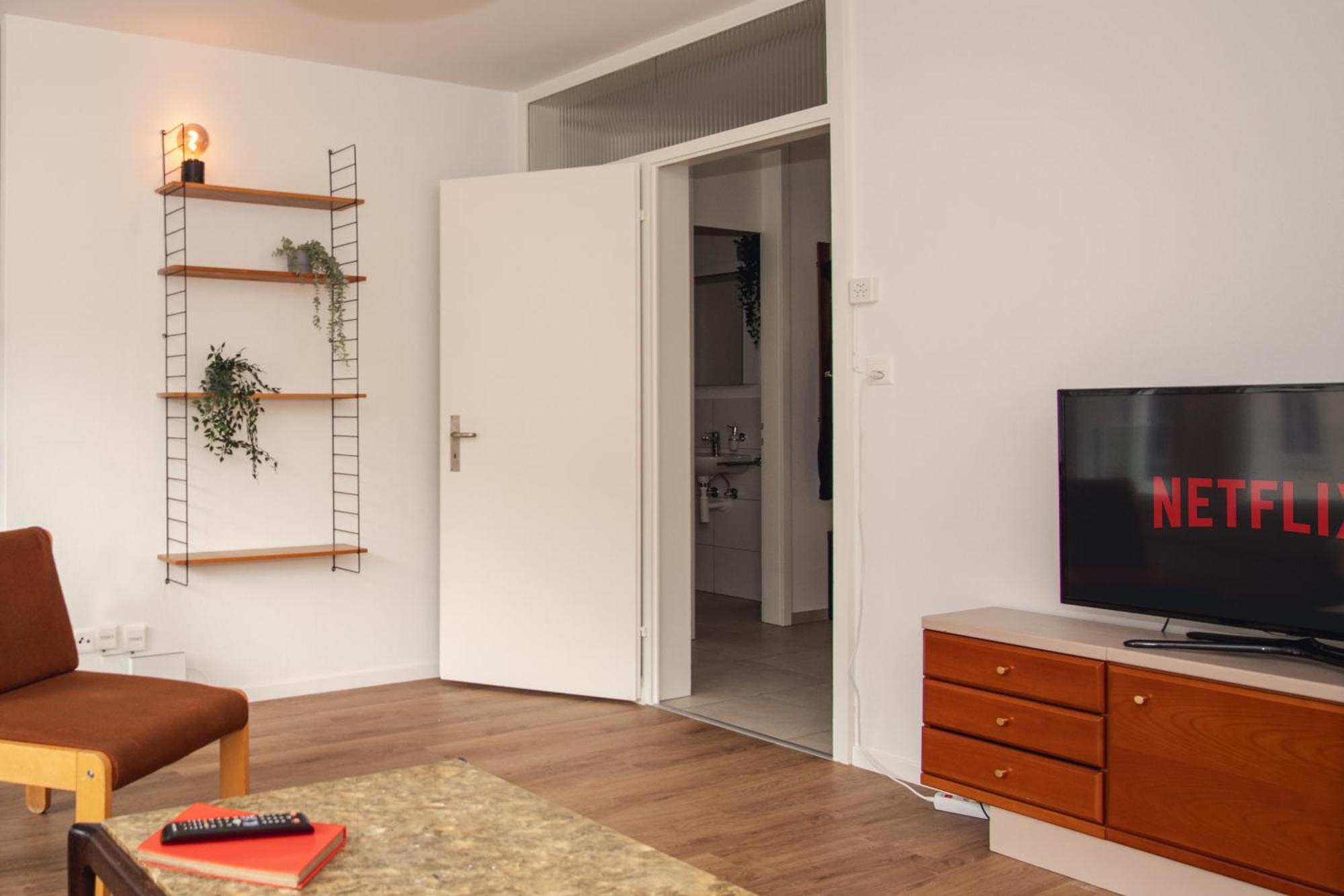 Spacious Apartment Next To Rhine Basel Dış mekan fotoğraf